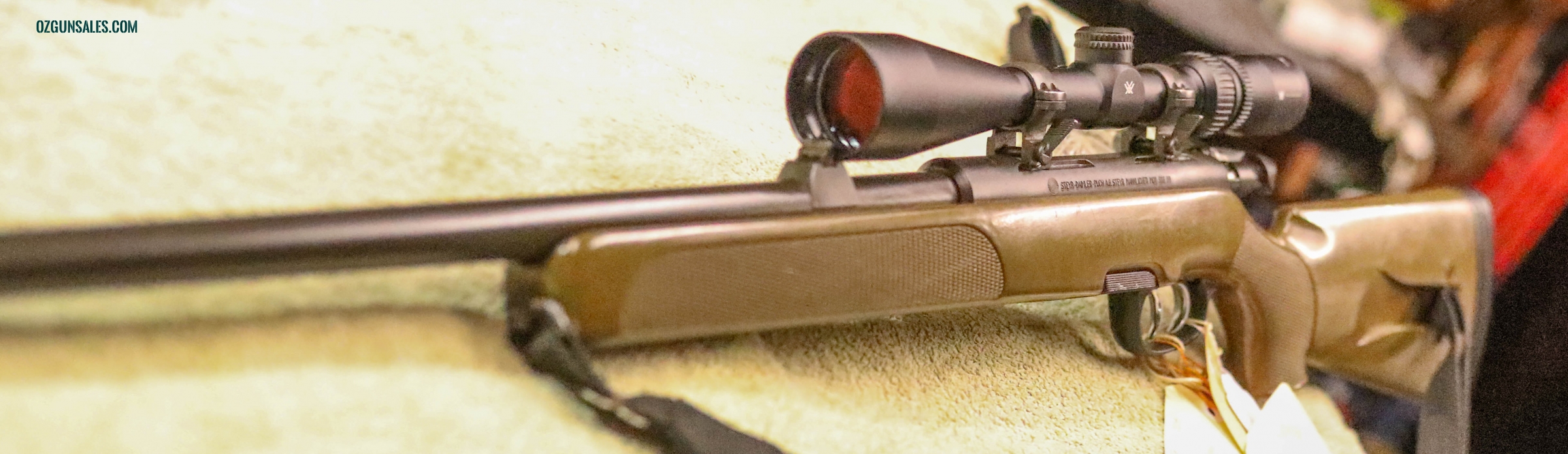 Steyr SSG89 bolt in .308