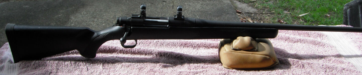R/H action. Synthetic Stock, Blued, Leupold 1" Rings, Action Bedded Barrel Floated.