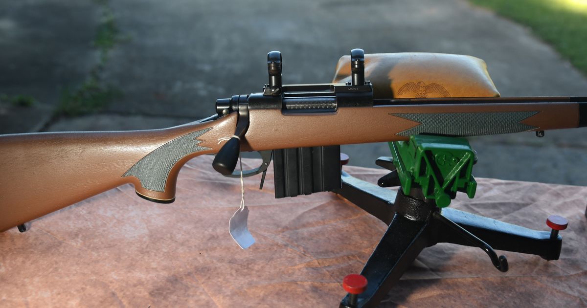 Remington 700 Action and Stock