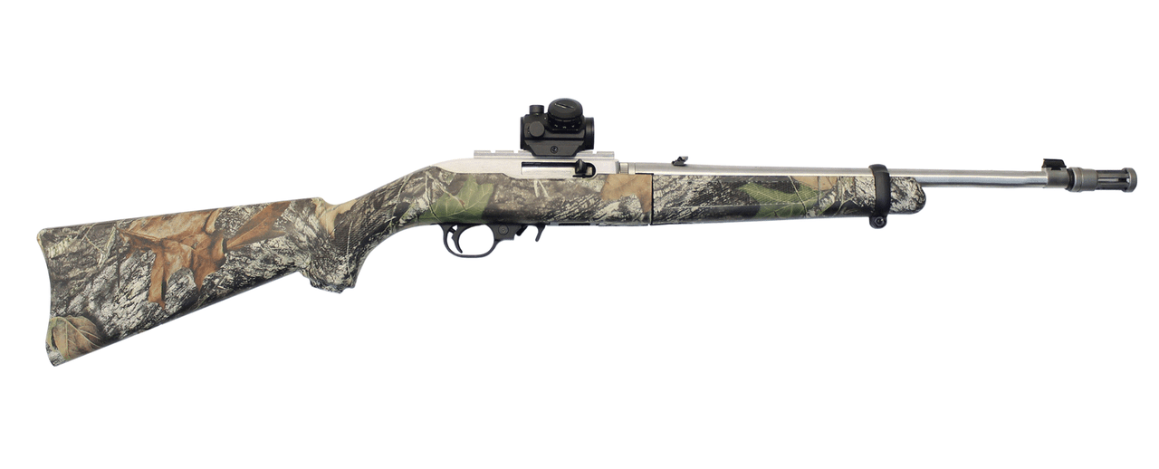 Ruger 10-22 Stainless