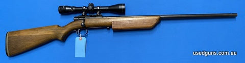 Slazenger 12 with a Tasco Pronghorn 3-9x40 mounted. Great little single shot rimfire target rifle.