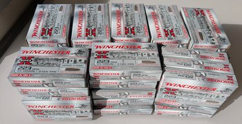 New unused Winchester hollow point bullets 55 gr projectile. As new not needed anymore. Pick up in person with licence I‚Äö√Ñ√∂‚àö√ë‚àö¬•d only.