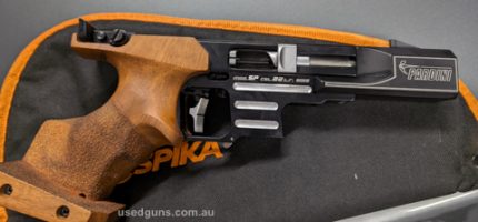 Great accurate gun. Pardini says it all..