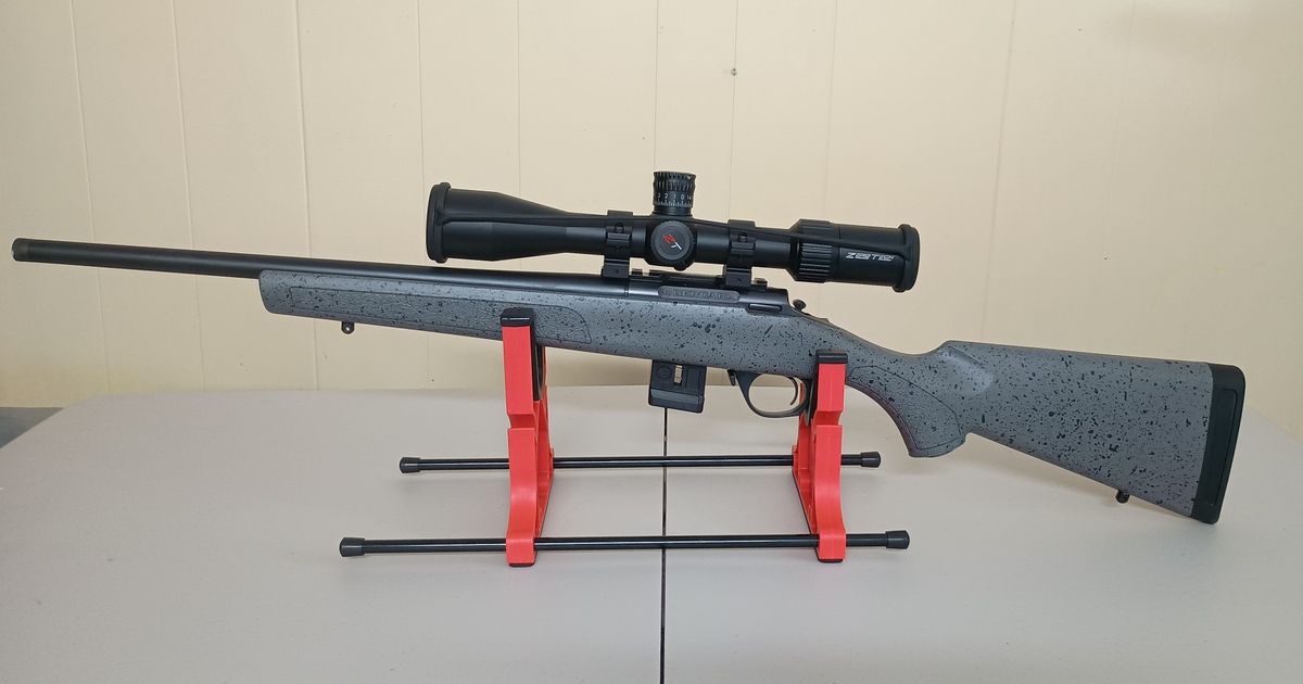 Bergara BMR 22lr / ZT Vengeance combo