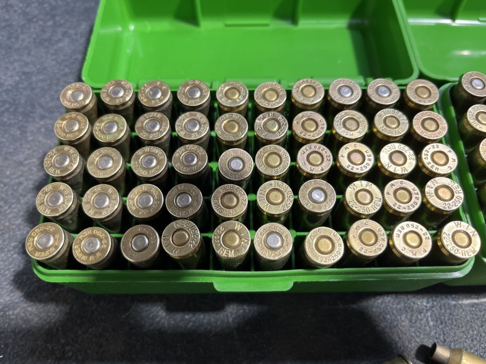 Brass 22/250 Brass  & containers.