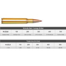 HORNADY .30-06 150GN SST 20 PACK H81093