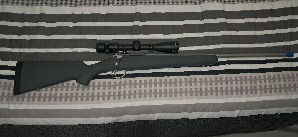 Kimber montana 223