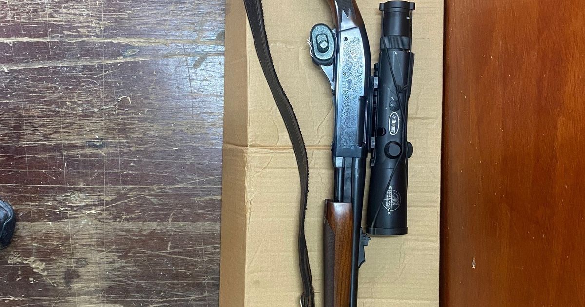 Remington Pump Action in 308 Winchester Calibre