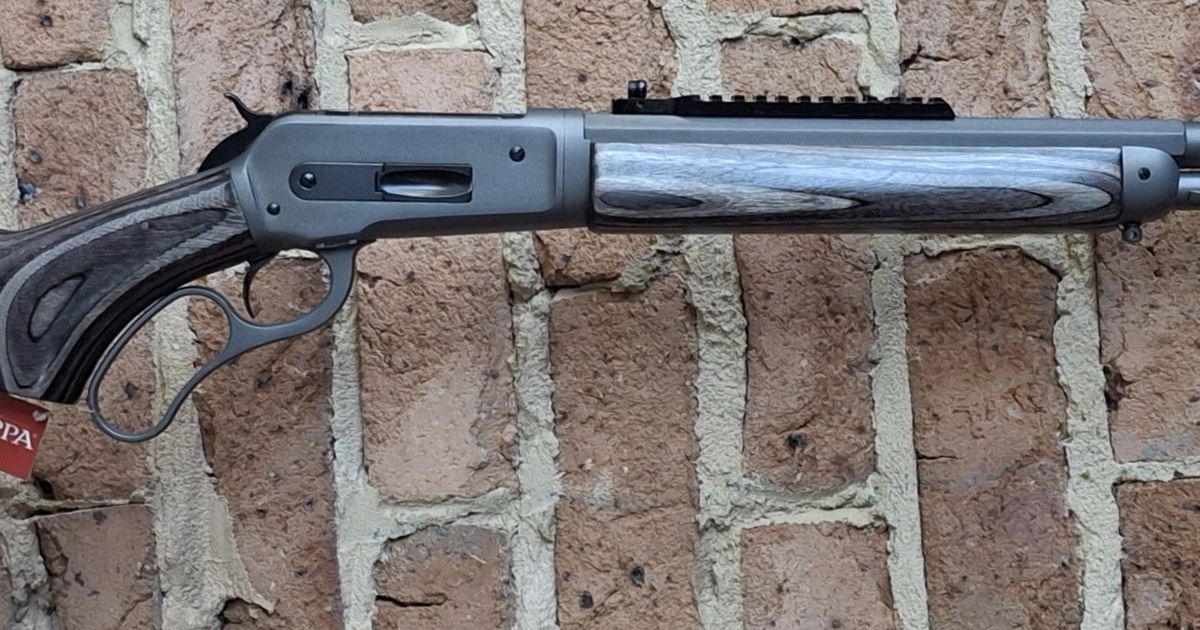Chiappa wildlands 45-70 Takedown