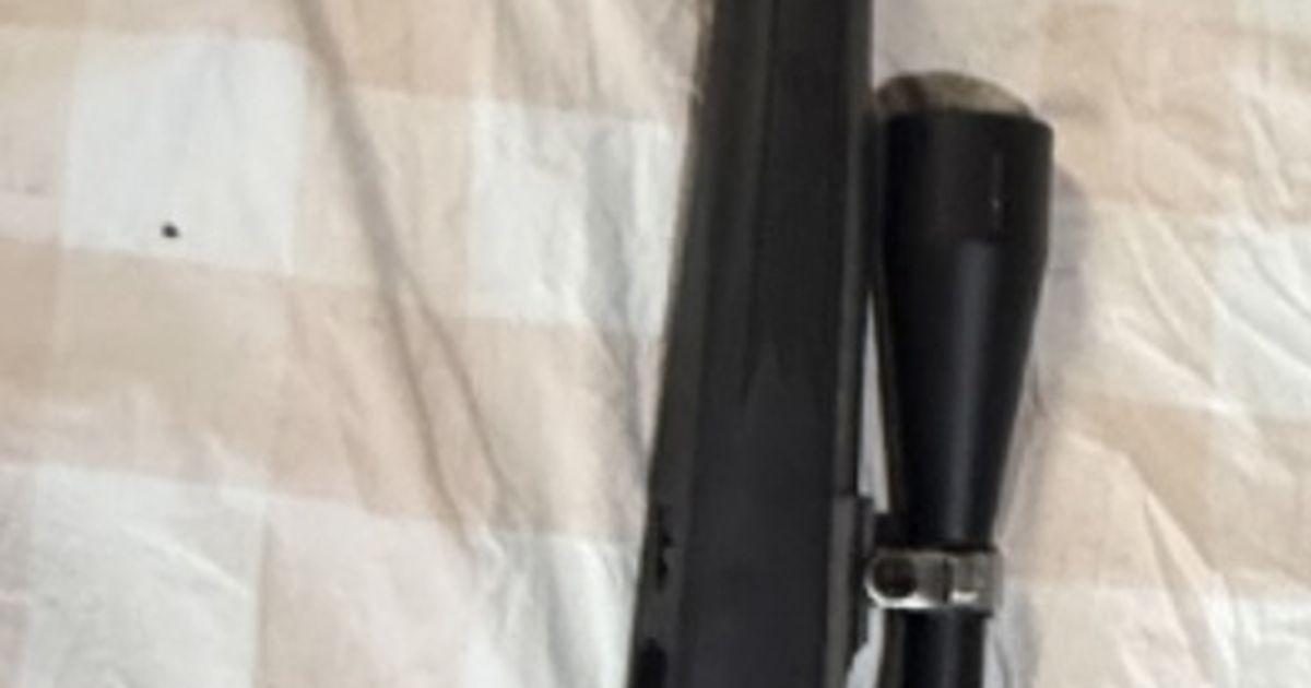 Ruger M77 MK2 243 Stainless Varmint